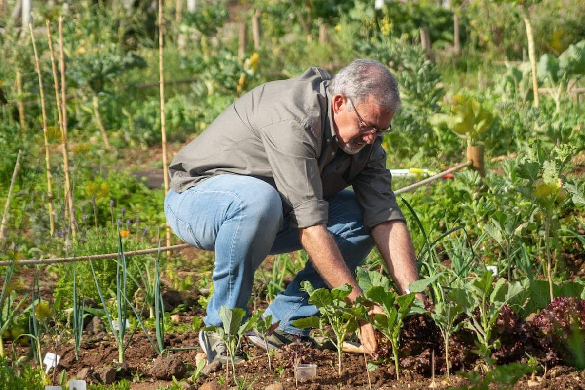 senior jardinage
