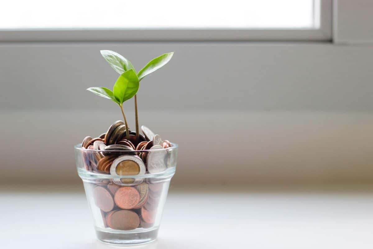 une plante dans un pot rempli de pièces